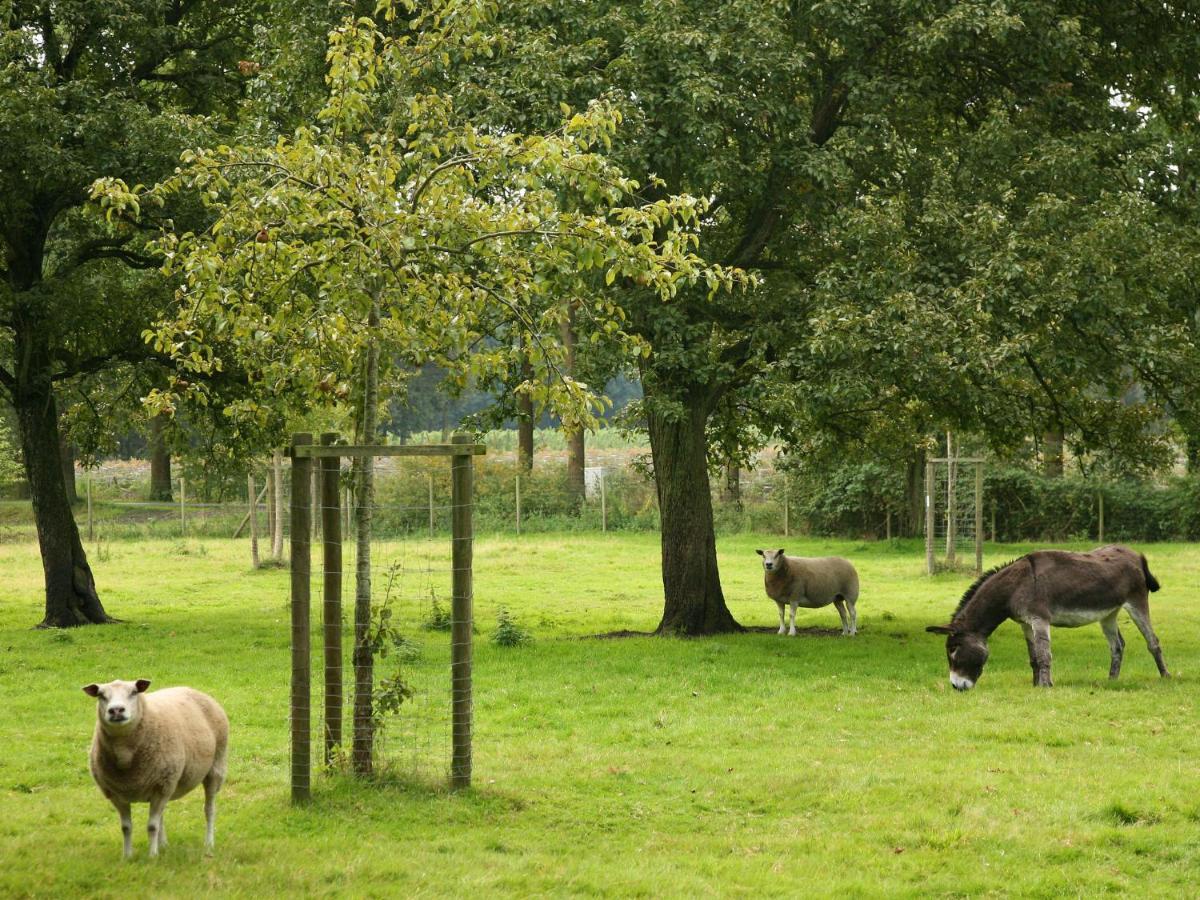 Beautiful Farmhouse In Beernem With Big Garden Buitenkant foto